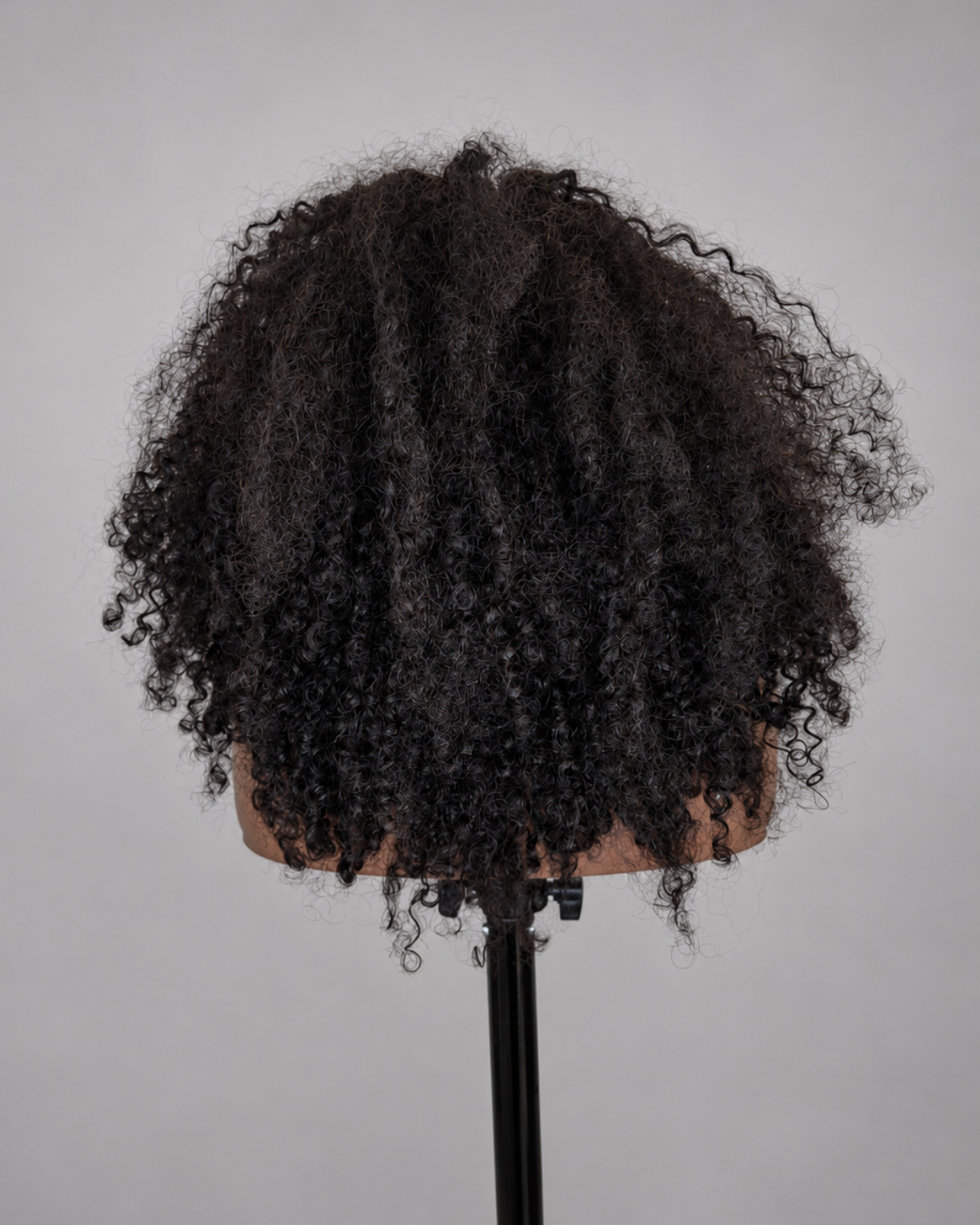 Wig before restoration